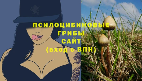 соль курить ск Краснослободск