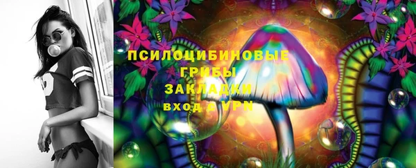 прущие грибы Коряжма