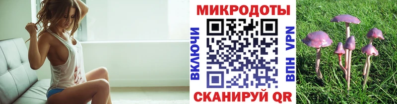 Галлюциногенные грибы Psilocybe  что такое наркотик  Козловка 